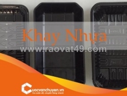 Thủ tục nhập khẩu khay, hộp, chén, dĩa đựng thức ăn bằng nhựa