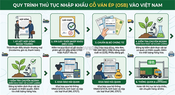 ~/Img/2026/9/thu-tuc-nhap-khau-van-ep-01.png