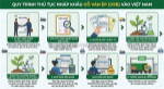 Thủ tục nhập khẩu ván ép