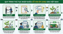 Thủ tục nhập khẩu ván ép