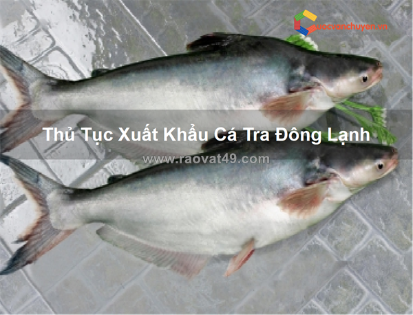 ~/Img/2026/9/thu-tuc-xuat-khau-ca-tra-dong-lanh-01.png