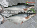 Thủ tục xuất khẩu cá tra đông lạnh