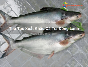 Thủ tục xuất khẩu cá tra đông lạnh