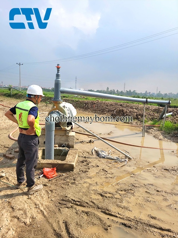 ~/Img/2026/9/thue-may-bom-cong-suat-lon-tai-ha-noi-da-dang-may-phu-hop-tung-cong-trinh-02.jpg