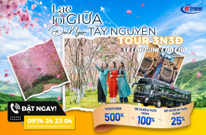 Tour tây nguyên 3 ngày 3 đêm trọn gói chỉ từ 4 triệu - khởi hành từ tp hồ chí minh | nam thiên travel