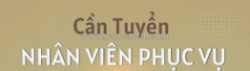 Tuyển nhân viên phục vụ quán nhậu ở q10