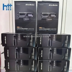 Webcam avermedia pw313