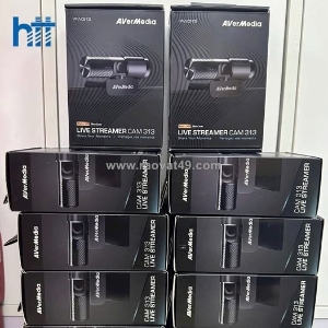 Webcam avermedia pw313